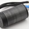Fits Traxxas SLEDGE 95076-4 - MOTOR (Velineon 2000kV Brushless 77mm for 3483)